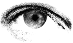 Sketch of external view of eye