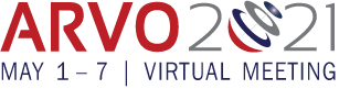 ARVO 2021 logo