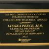 Collegiate Teaching Award - Luiska Pesce