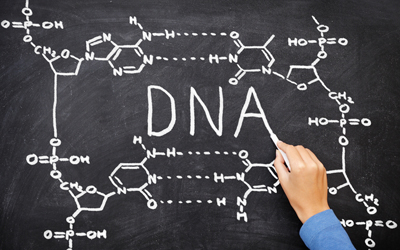 DNA on chalkboard