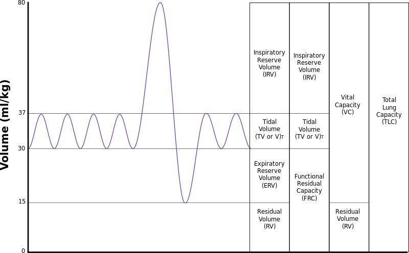 Pft Chart