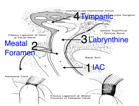 https://medicine.uiowa.edu/iowaprotocols/sites/medicine.uiowa.edu.iowaprotocols/files/b2.png