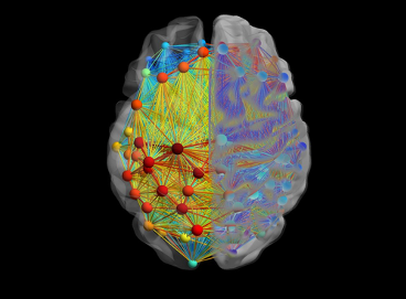 Neurological connections