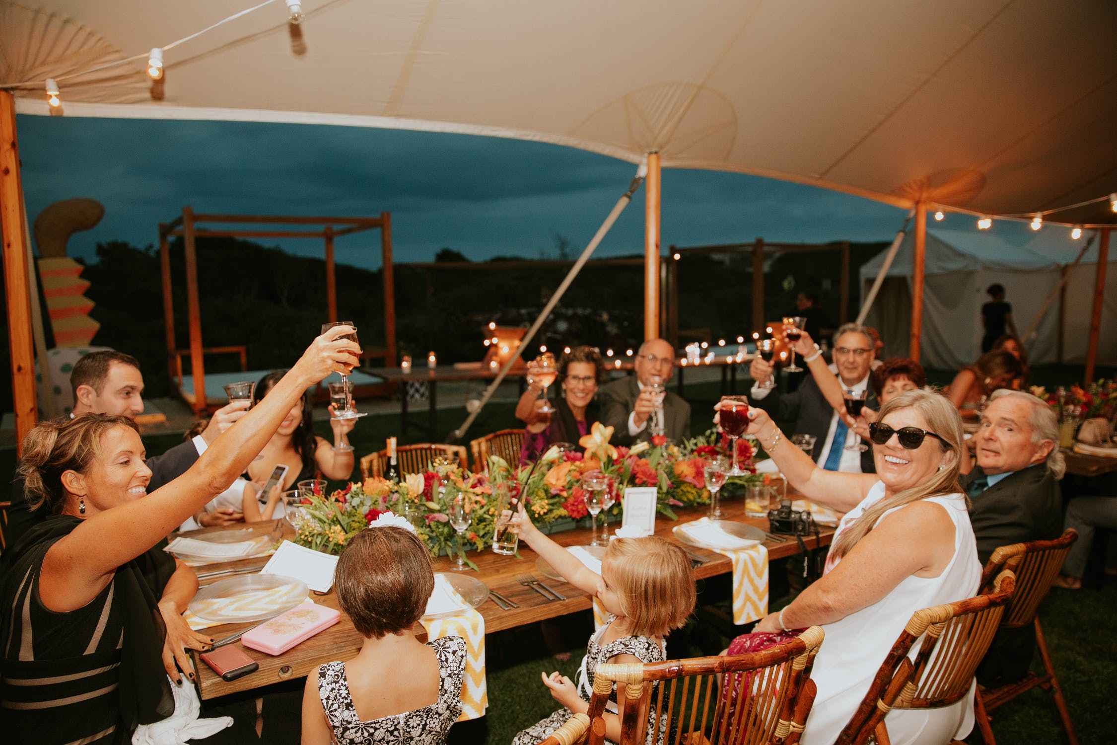 People toasting around a table