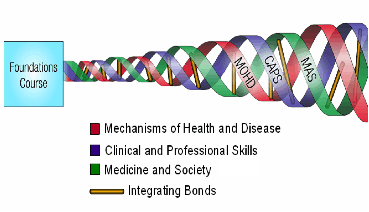 Graphical depiction of the three-stranded curriculum