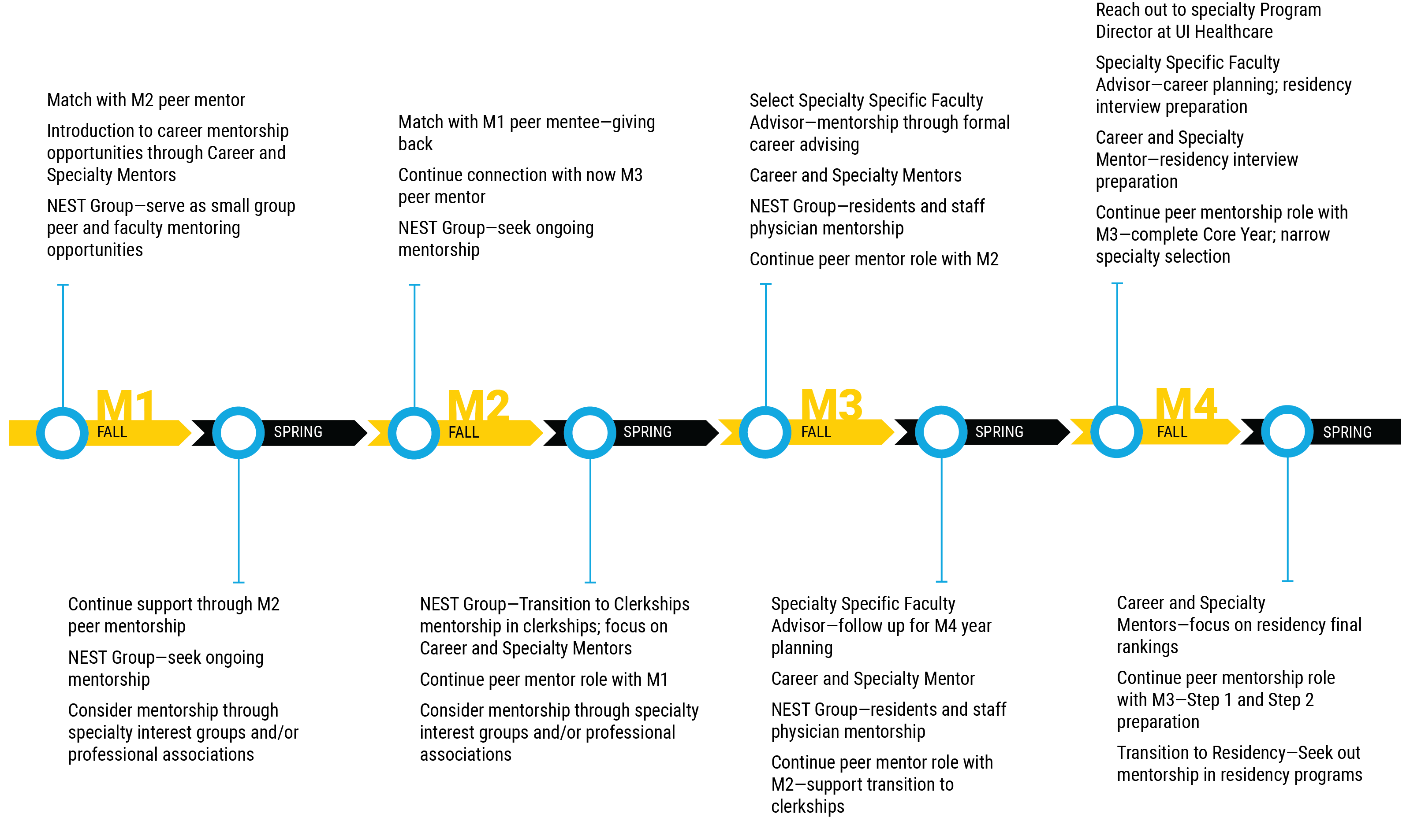 A timeline of mentoring activities for medical students