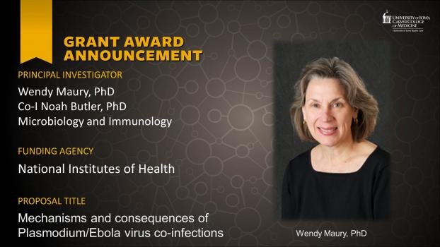 New Funding - NIH Wendy Maury, PI