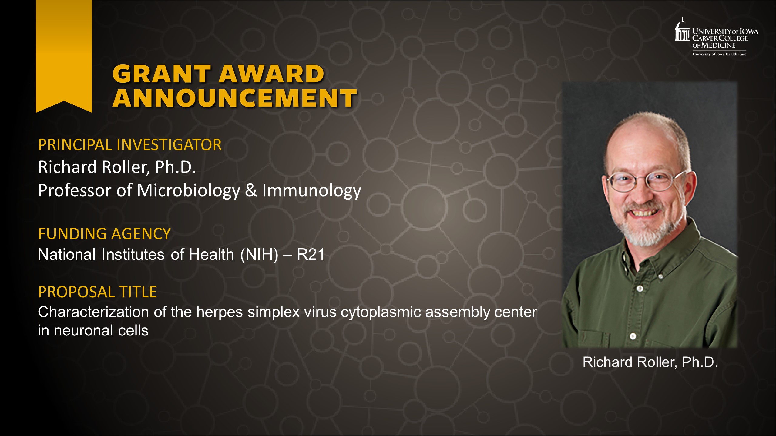 New Funding - Richard Rollr - NIH