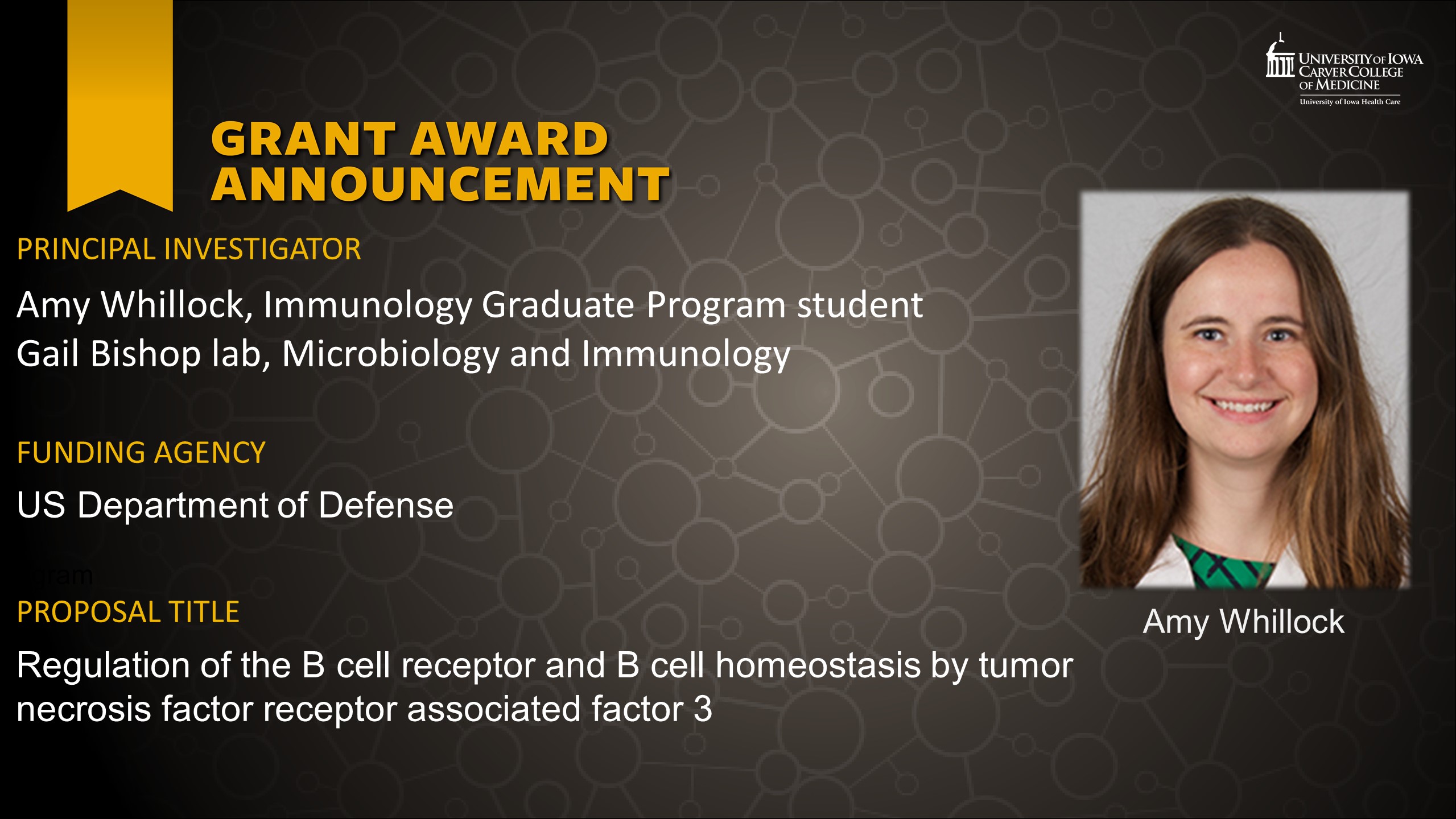 NEW FUNDING - Amy Whillock & Gail Bishop Lab - USDOD