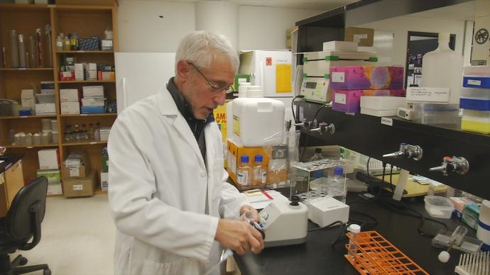 Stanley Perlman in lab