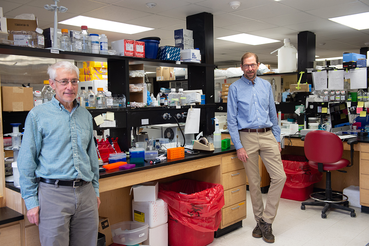 [Paul McCray, MD, and Stanley Perlman, PhD, at their lab]