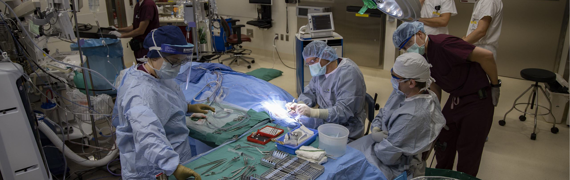 Dr. Gantz performing surgery