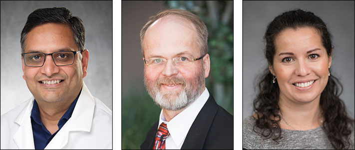 Drs. Ashutosh Mangalam, Hans-Joachim Lehmler and Christina Camell 