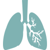 lung icon