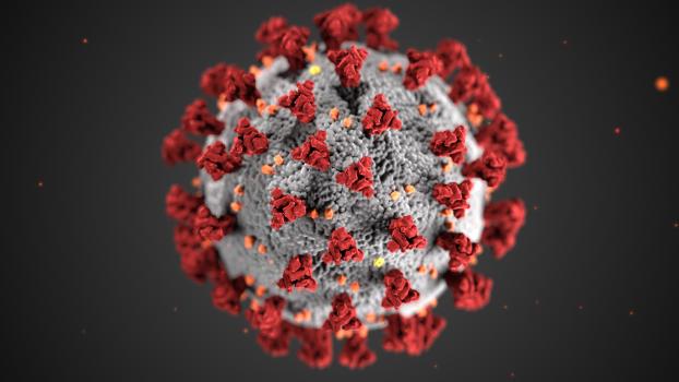Coronavirus with a dark background