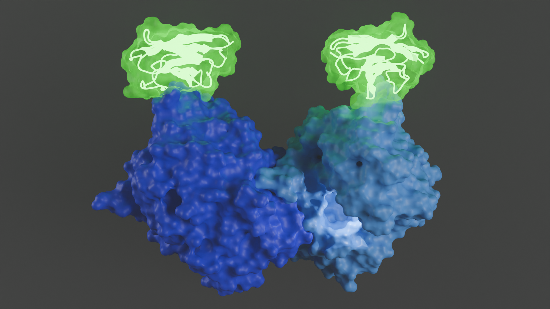 Cryo-EM structure of fibroblast activation protein alpha