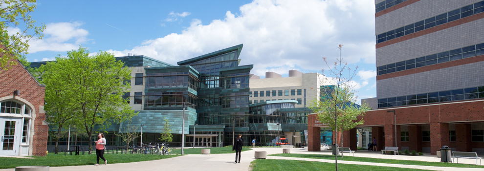 Roy J. and Lucille A. Carver College of Medicine