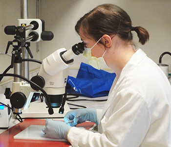 a women looking at microscope