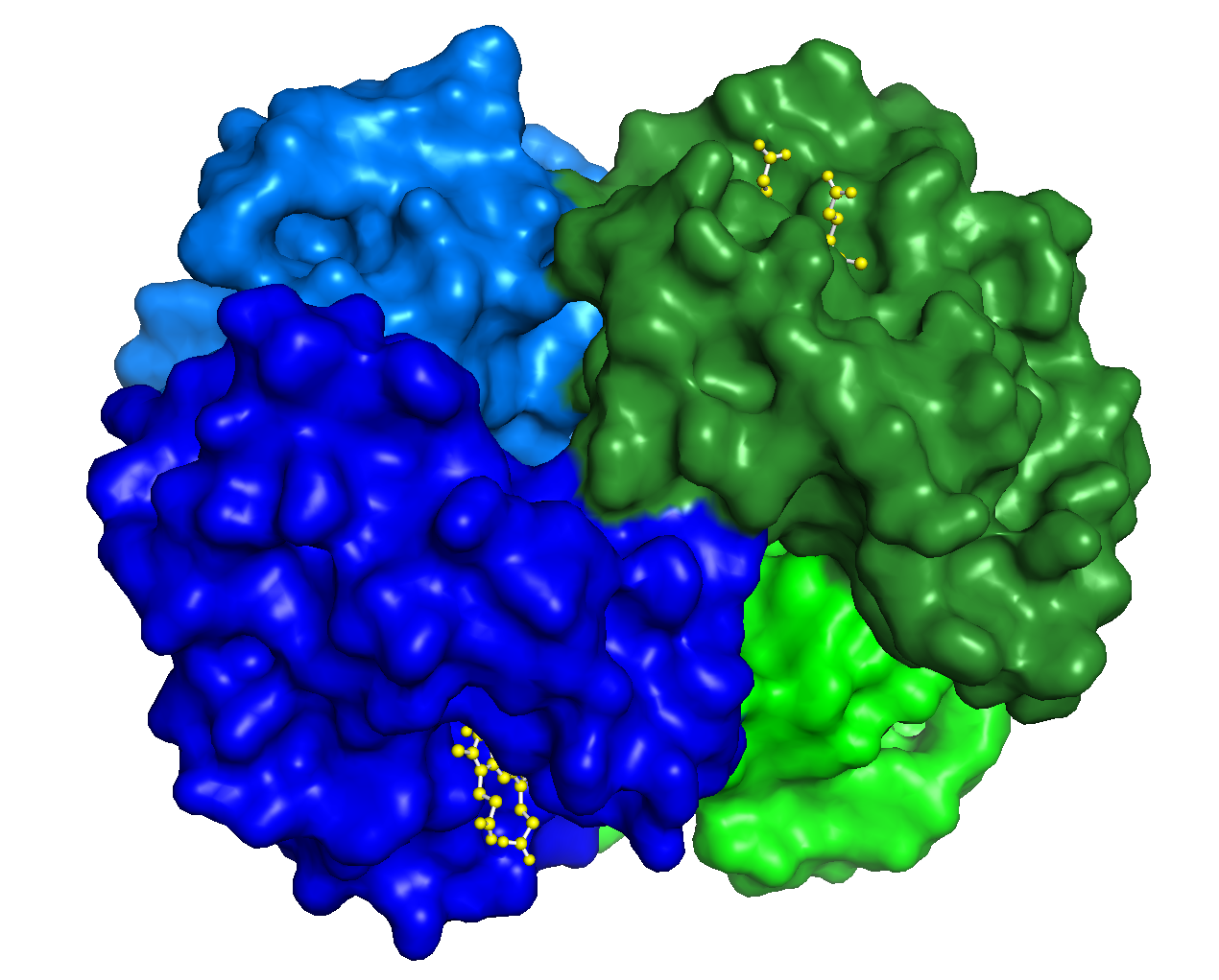 Protein structure