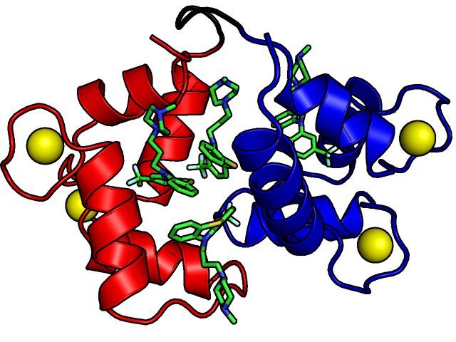 Protein structure