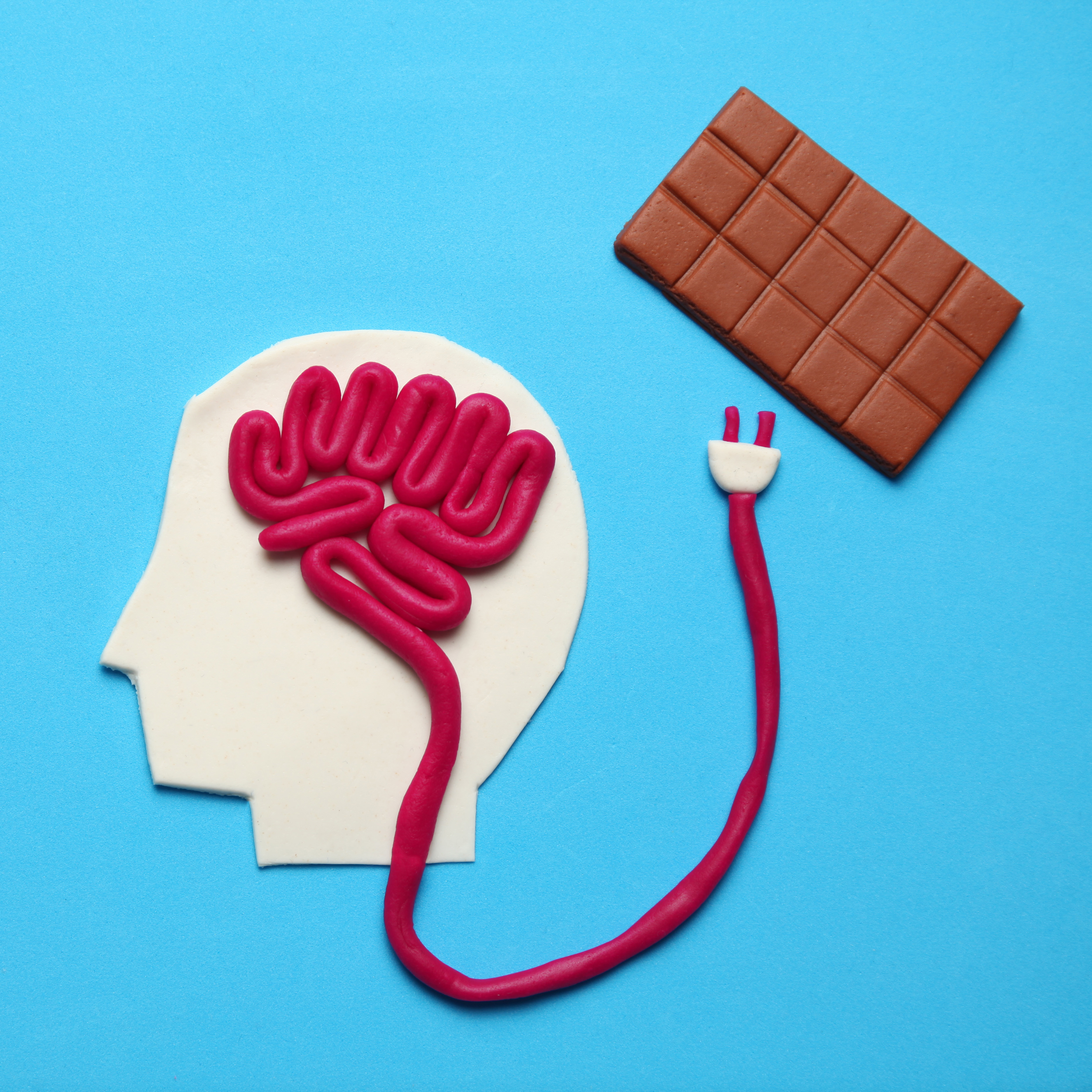 Chocolate and the brain