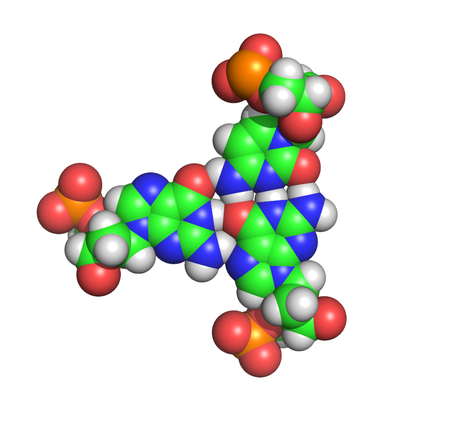 Protein structure