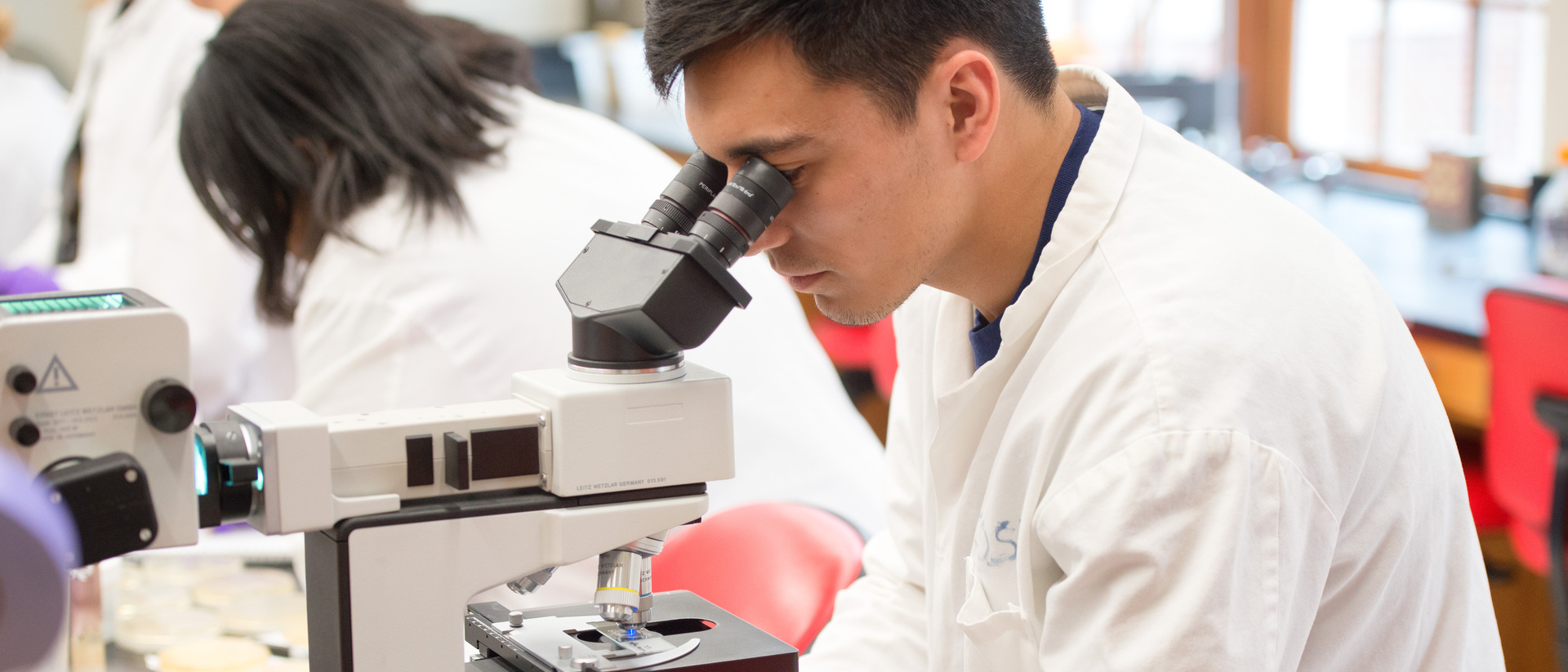 2018_03_28-Bacteria and Human Disease Lab-jatorner-0327.jpg