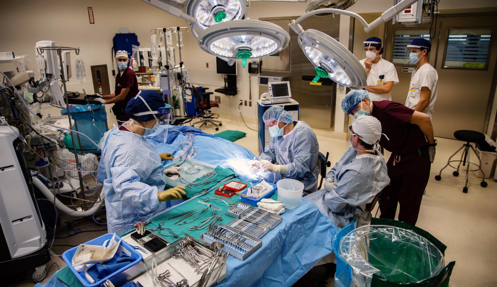 Bruce Gantz performing a robotically assisted cochlear implant surgery Otolaryngologist Bruce Gantz, MD, performs a robot-assisted cochlear implant procedure with the iotaMotion technology.
