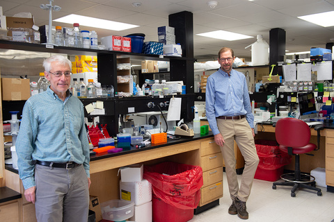 Paul McCray, MD, and Stanley Perlman, PhD, at their lab