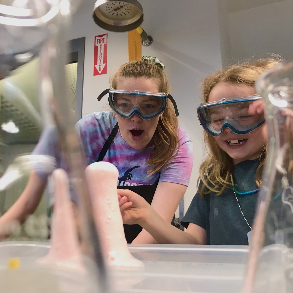 MT Gehrmann, Carver College of Medicine student at STEM event