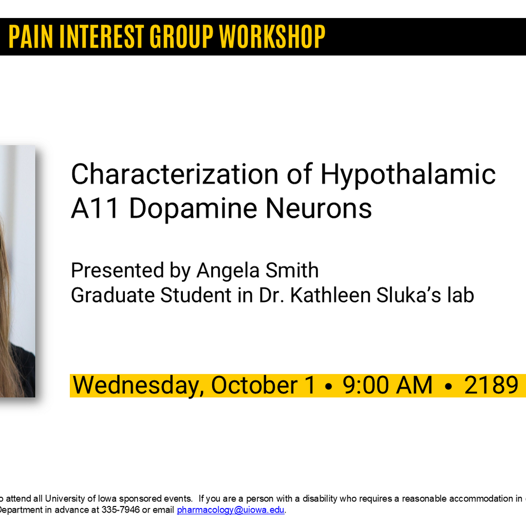 Pain Interest Group Workshop promotional image