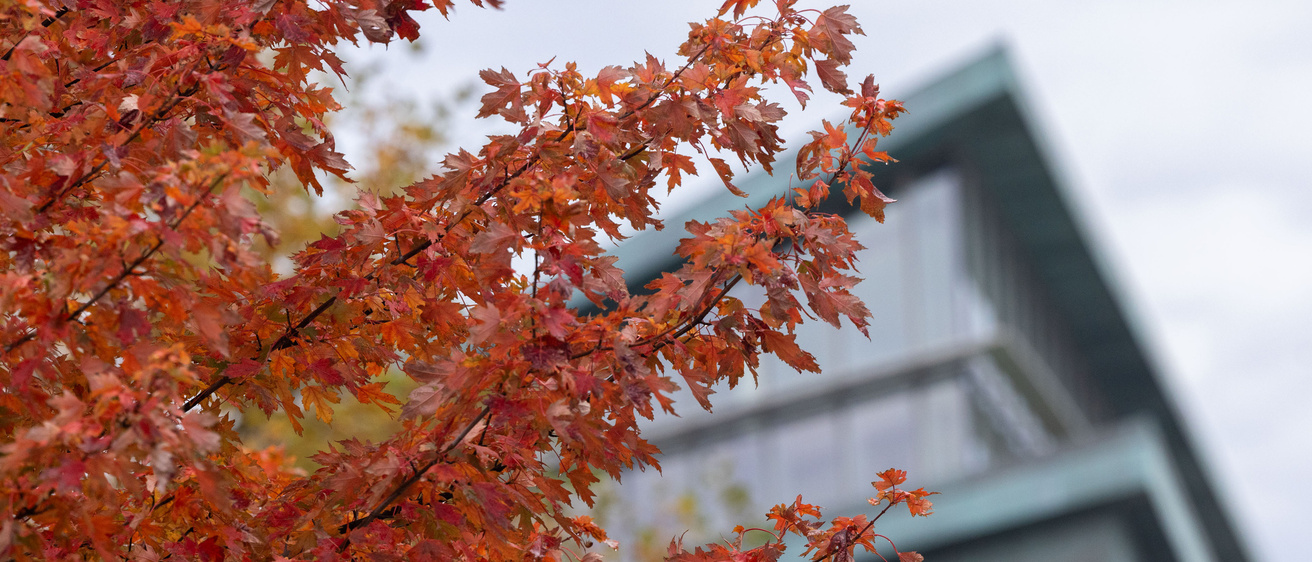 Exterior building image of the MERF atrium