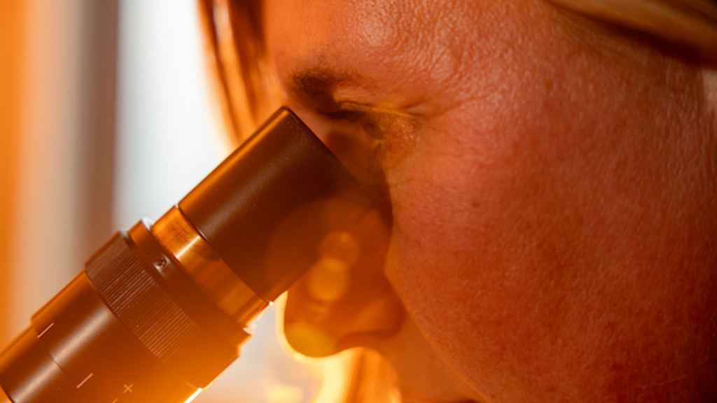 Close-up of a woman looking into a microscope backlit by the sun