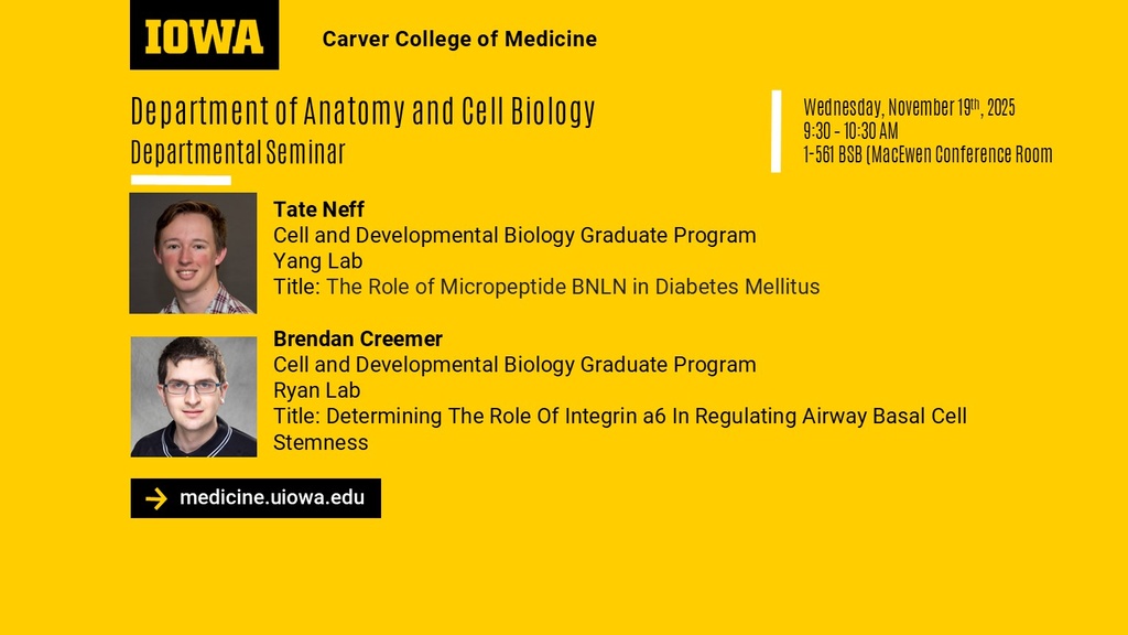 ACB Seminar Series - Tate Neff and Brendan Creemer  promotional image